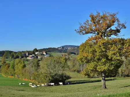 Gîte pour 14 pers à La Chabanne avec WiFi et animaux admis - Photo 13