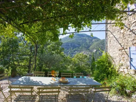 Le Serre des Granges Plus, Mas Provençal avec piscine privée et clime - Photo 4