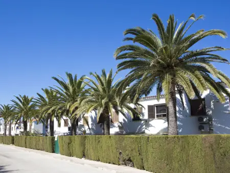 El Palmar, Maison 5 personnes à Dénia - Photo 26