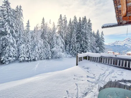 Chalet cosy 6-8 pers avec poêle à bois et terrasse ensoleillée - Photo 4