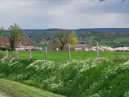 Gîte convivial à Blomard avec piscine partagée et animaux acceptés - Photo 31