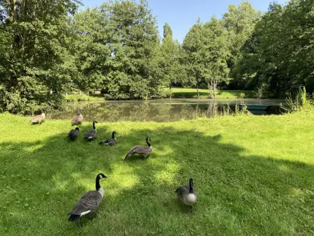 Gîte rénové de charme avec parc, étang, proche de Paris et Versailles - Photo 31