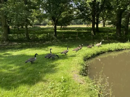 Gîte rénové de charme avec parc, étang, proche de Paris et Versailles - Photo 32