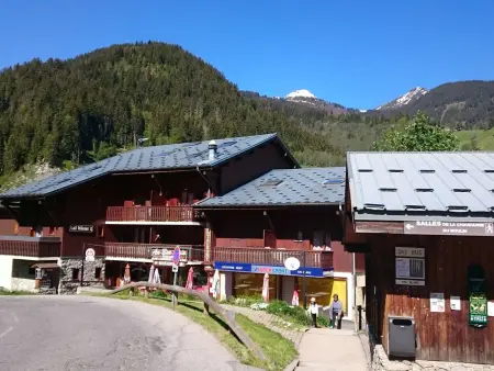 Appartement cosy 2-4 pers, cœur de village, proche pistes, piscine l'été - Photo 3