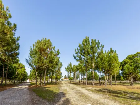 Quinta de Santa Emilia 2, Gite 4 personnes à Alcácer do Sal - Photo 23