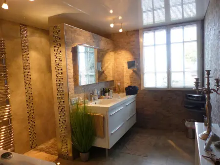 Villa avec piscine chauffée et jardin près de Moulins - Photo 10