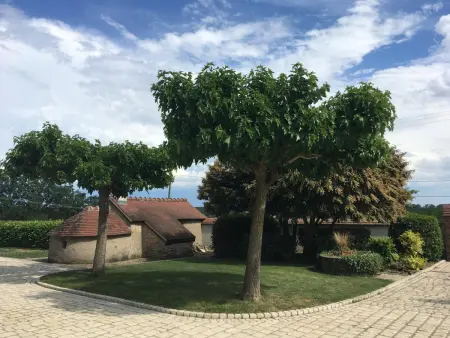 Villa avec piscine chauffée et jardin près de Moulins - Photo 17
