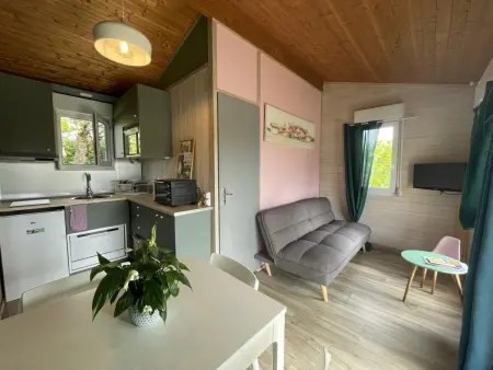 Chalets avec terrasse, draps inclus à Pierrefitte-sur-Loire - Photo 1