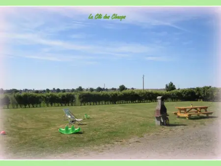 Chalets au bord de l'eau avec terrasse, animaux admis - Photo 1