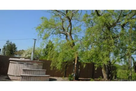 BIBLIOTHÈQUE, Bungalow à Noiseux avec Bain à Bois - Photo 19