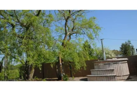 BIBLIOTHÈQUE, Bungalow à Noiseux avec Bain à Bois - Photo 22