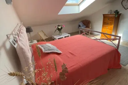 duplex 1er et 2ème étage Saint-Brieuc, Duplex insolite avec jardin - Photo 9