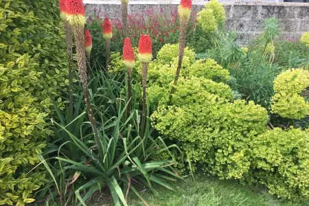 duplex 1er et 2ème étage Saint-Brieuc, Duplex insolite avec jardin - Photo 19