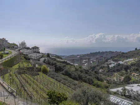 Casetta in collina, Villa 4 personnes à Sanremo - Photo 28