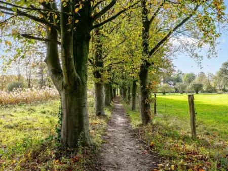Alverwege, Maison de campagne avec jardin - Photo 31