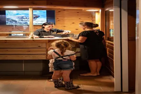 Camping Petite Suisse 2, Chalet de Charme avec Piscine - Photo 7