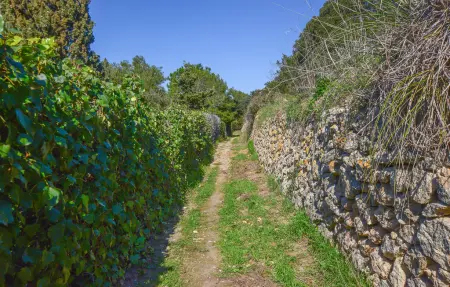 Maison 6 personnes à Porto Santo Stefano - Photo 26