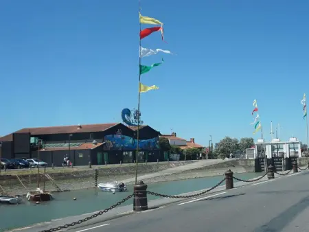Maison 3 pièces avec véranda et jardin, à 300m de la plage - La Guérinière - Photo 22
