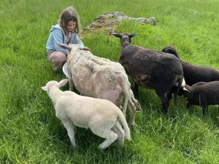 Gîte 4 pers avec jardin privé et animaux admis - Photo 19
