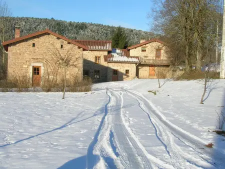 Gîte 4 pers avec jardin privé et animaux admis - Photo 24
