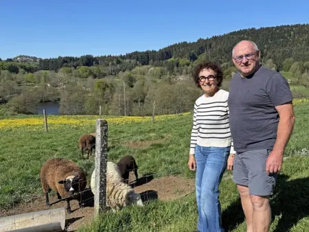 Gîte 4 pers avec jardin privé et animaux admis - Photo 27