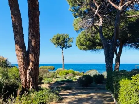 Charmante Maison à 50m de la Plage avec Terrasse - 5 Couchages à Lumio - Photo 6