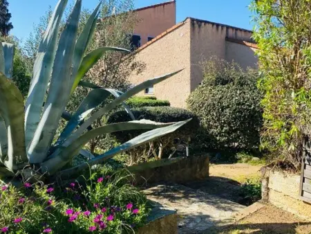 Charmante Maison à 50m de la Plage avec Terrasse - 5 Couchages à Lumio - Photo 15