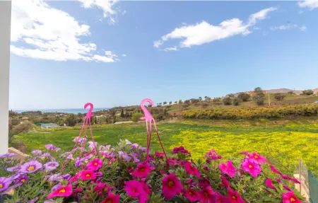Maison 4 personnes à Nerja - Photo 16