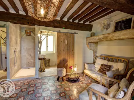 Grande maison avec piscine privée chauffée et animaux admis - Photo 17