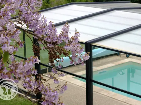 Grande maison avec piscine privée chauffée et animaux admis - Photo 33