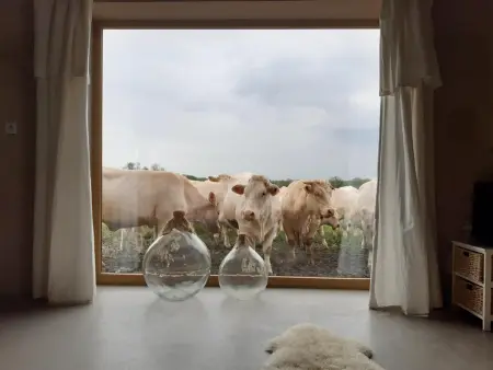 Maison Authentique avec Spa et Animaux Acceptés - Photo 11