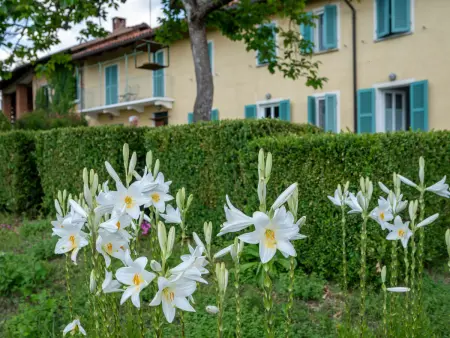 La Rocchetta 1915, Maison 5 personnes à Cortazzone - Photo 19