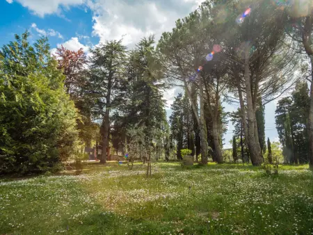 Villa Le Pine, Maison 7 personnes à Anghiari - Photo 41