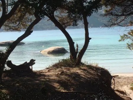 Villa Climatisée avec Terrasse à 200m de la Plage - Porto-Vecchio - Photo 17