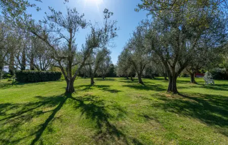 Maison 18 personnes à Montalto di Castro - Photo 16