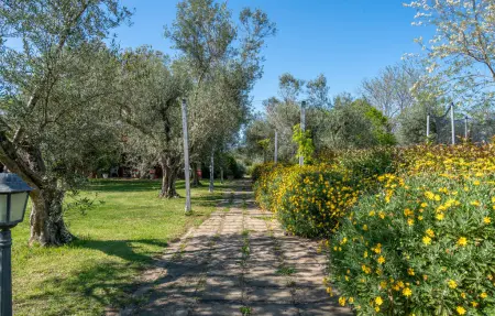 Maison 18 personnes à Montalto di Castro - Photo 47
