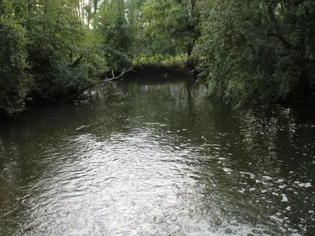 Gîte indépendant au bord de la rivière, cadre historique, pêche, animaux bienvenus, parking privé - Photo 15