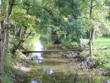 Gîte indépendant au bord de la rivière, cadre historique, pêche, animaux bienvenus, parking privé - Photo 16