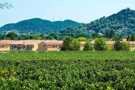 Residence Le Clos des Oliviers Vidauban-Maison 4 chambres 8 pers standard, Maison familiale au Clos, Vidauban - Photo 5