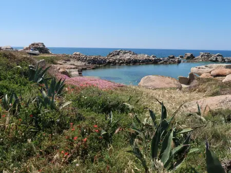 Malvasia, Villa 8 personnes à Portobello - Photo 35