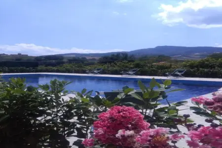La Collina, Belle maison de vacances à Montedinove avec piscine partagée - Photo 38