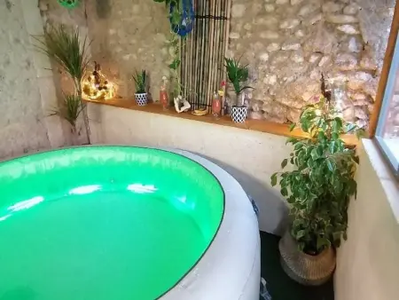 Maison avec jardin, Spa privatif à proximité de Beauval et Valençay - Photo 1