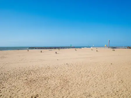 Meeuwenoord, Maison dans une ferme au bord de la mer - Photo 66