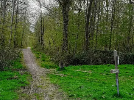 Gîte tout inclus avec jardin clos, terrasse privative, proche forêt et randonnées, 1 chambre, 1 canapé-lit - Photo 31