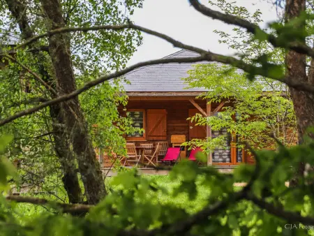 Domaine des Monédières - Chalet 6 pax, Maison 6 personnes à Meyrignac l'Eglise - Photo 57