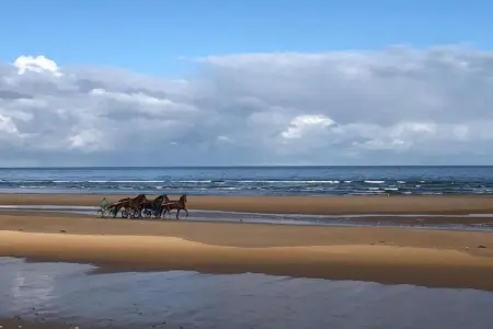 GUYBERNINE MER, Confort côtier en Normandie - Photo 25