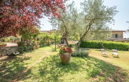 Casa Berto, Maison 4 personnes à Siena - Photo 5