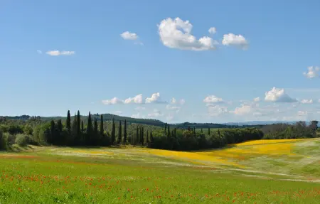 Casa Berto, Maison 4 personnes à Siena - Photo 6