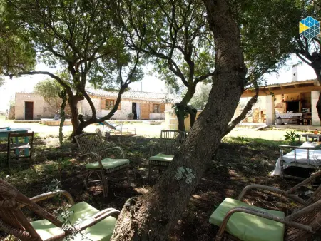 Maison de campagne avec piscine et grand terrain à Majorque - Photo 4