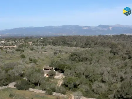 Maison de campagne avec piscine et grand terrain à Majorque - Photo 34